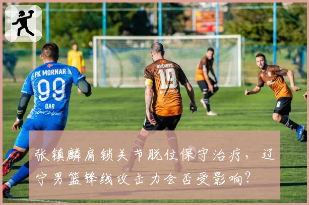张镇麟肩锁关节脱位保守治疗,辽宁男篮锋线攻击力会否受影响?