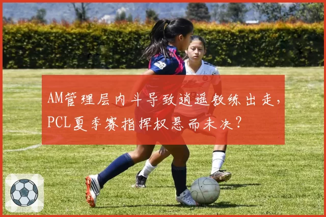 AM管理层内斗导致逍遥教练出走,PCL夏季赛指挥权悬而未决?