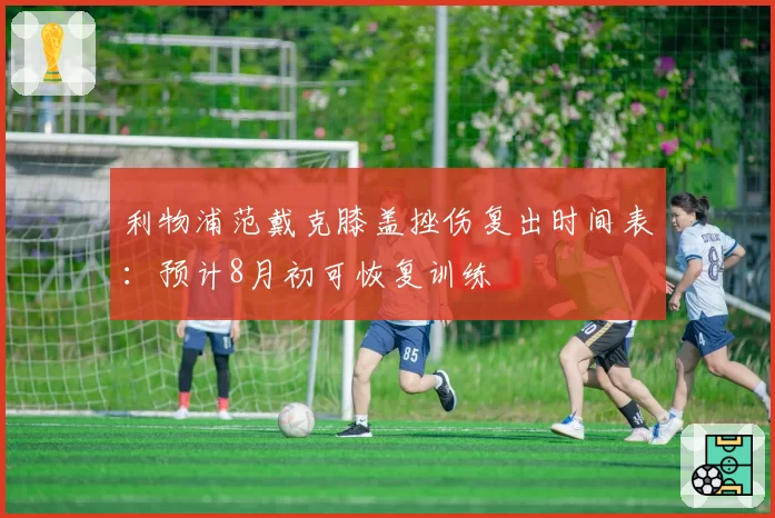 利物浦范戴克膝盖挫伤复出时间表:预计8月初可恢复训练